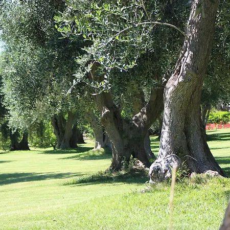 Villaggio Uliveto Rodi Garganico